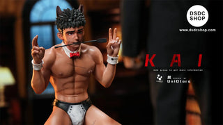 【GK預售】凱-液體工作室-DSDC SHOP Liquid Studio