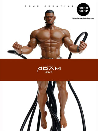 【GK預售】亞當計劃-荼蘼創意-DSDC SHOP TOME CREATIVE