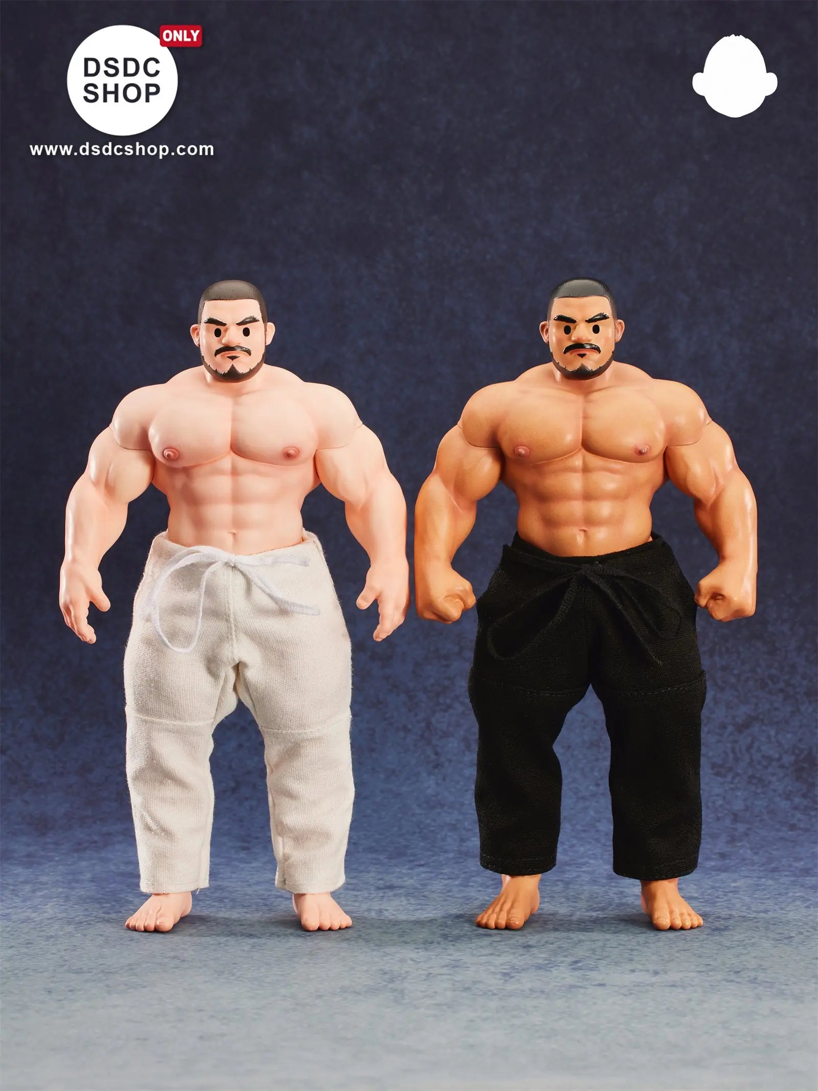 【GK預售-獨家】MR.BRUIN 5.0 JUDO COACH 柔道教練 -DSDC SHOP MrBruin Toy
