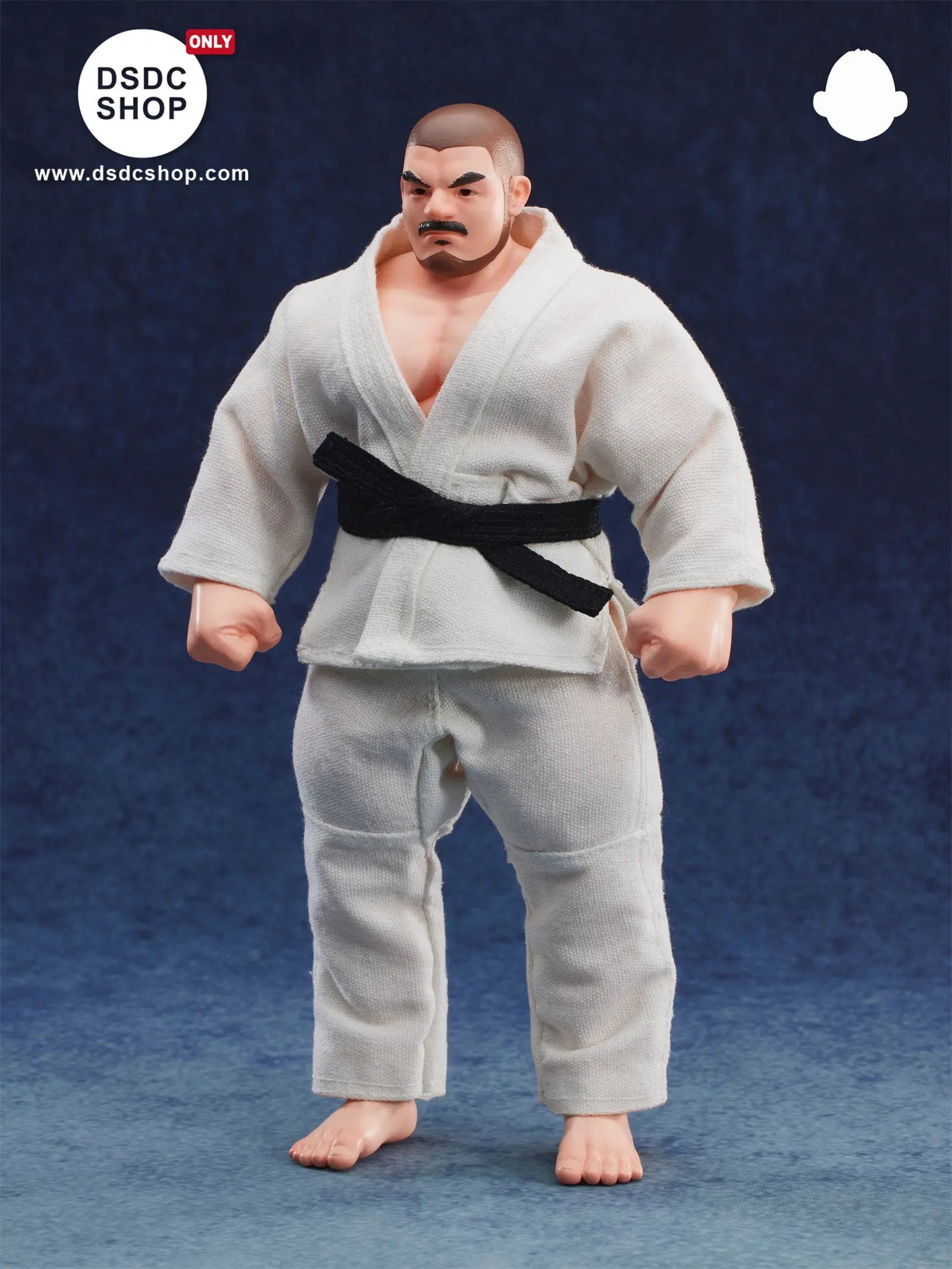 【GK預售-獨家】MR.BRUIN 5.0 JUDO COACH 柔道教練 -DSDC SHOP MrBruin Toy